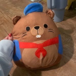 Woodchuck squishmallow